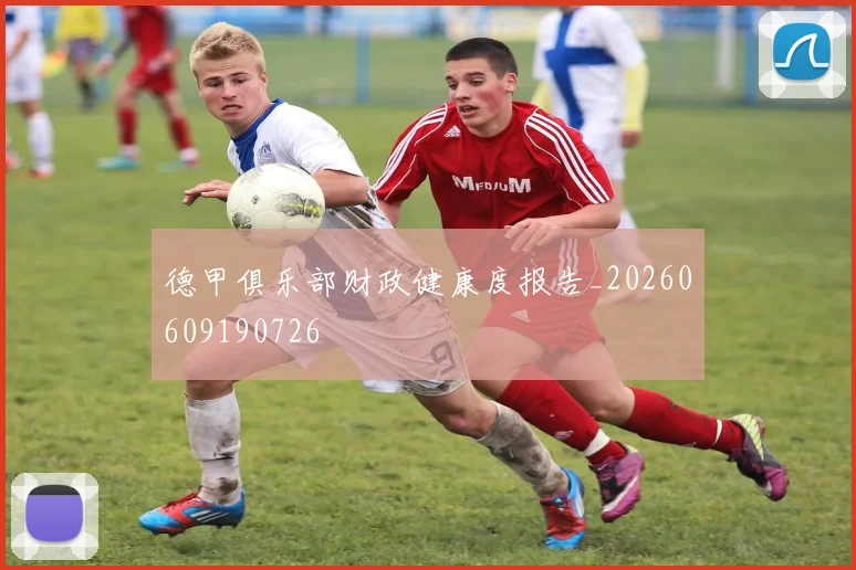 德甲俱乐部财政健康度报告_20260609190726